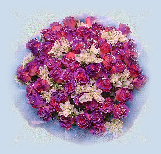 A013玫瑰花束
