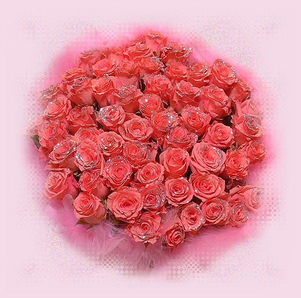 A014粉玫瑰花束