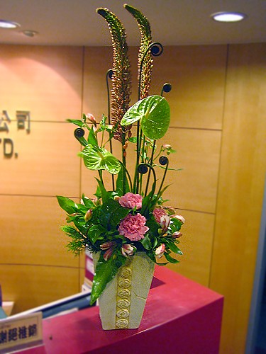 F002包月盆花設計