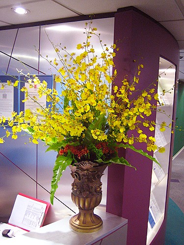 F003包月盆花設計