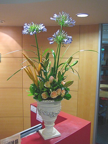 包月盆花設計