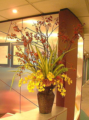 F034包月盆花設計