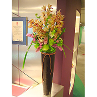 F038包月盆花設計
