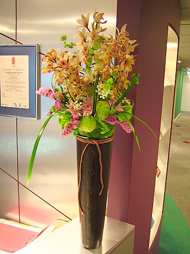 F038包月盆花設計