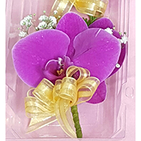 L024蝴蝶蘭胸花