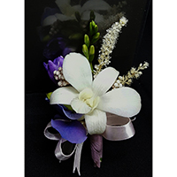 L028白石斛蘭胸花
